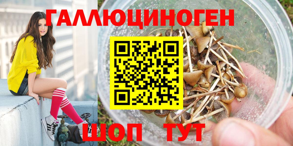 Псилоцибиновые грибы Magic Shrooms  Вход с VPN  Саров 